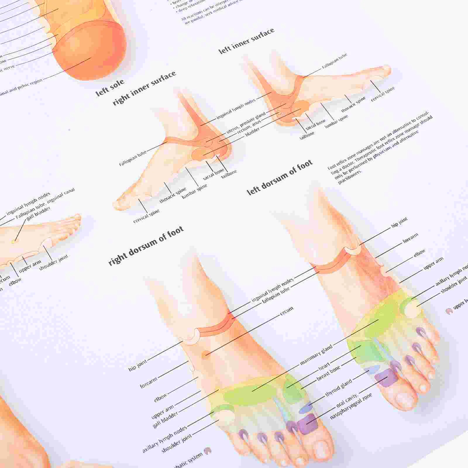 Плакат с рефлексологией ног - Фотография_3