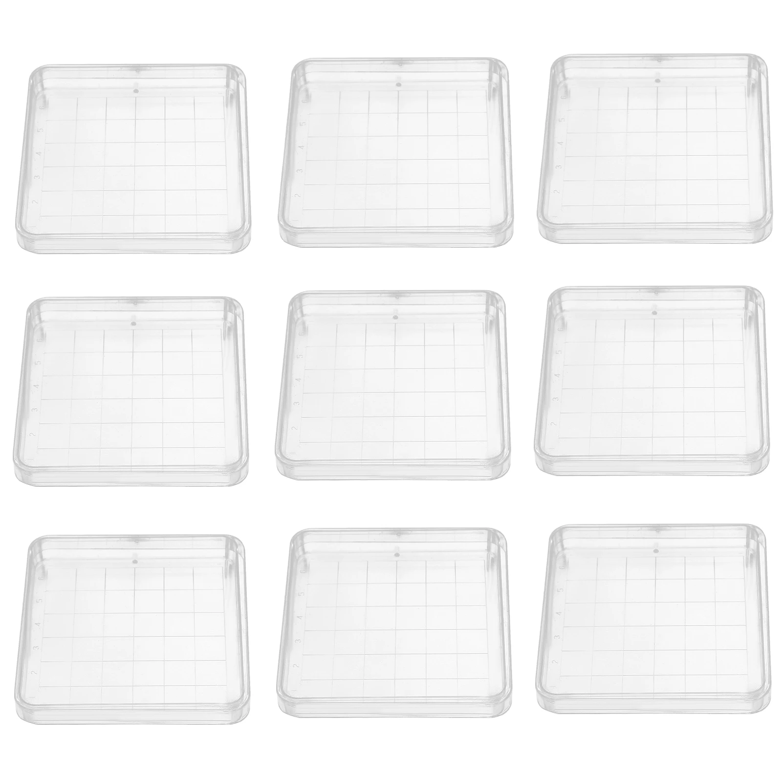 Квадратные чашки петри 10x10 см - Фотография_4