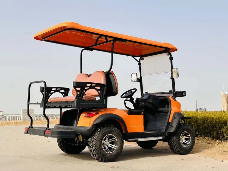 4-колесная тележка для гольфа - Фотография_5