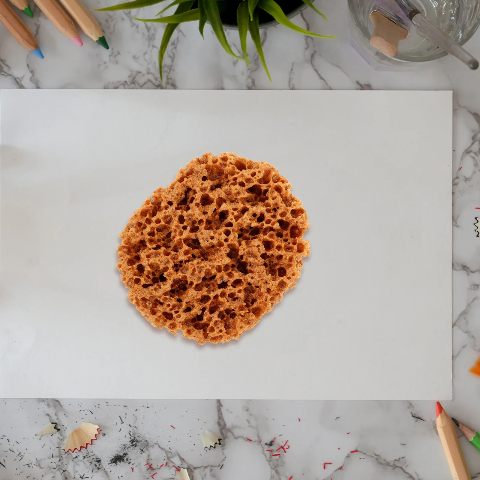 Губки для рисования акриловой краски - Фотография_2