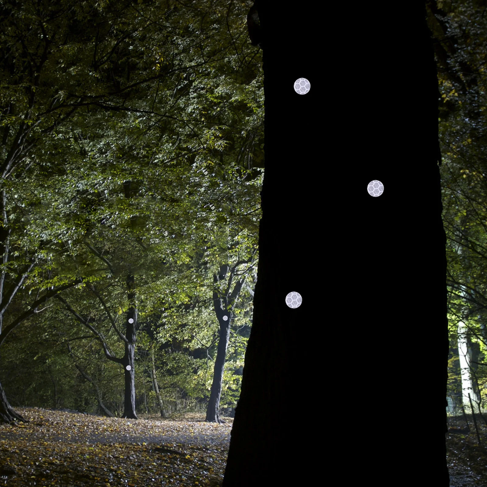 Светоотражающие кнопки для большого пальца - Фотография_3