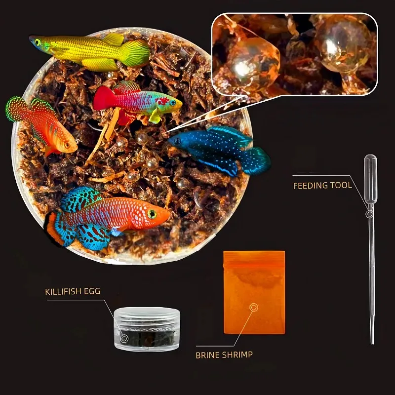 Коробка для разведения мамы killifish
