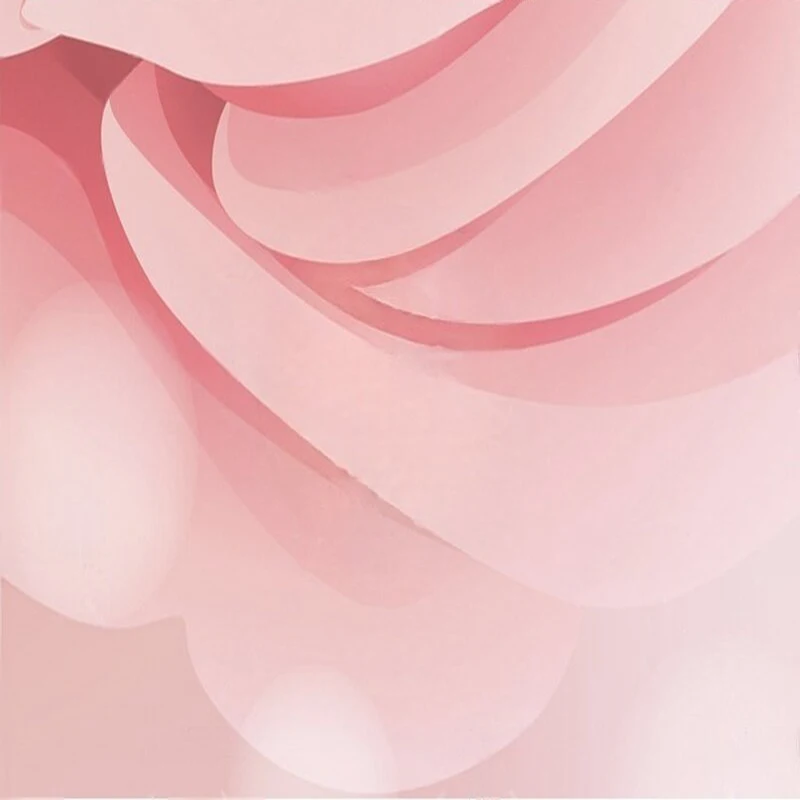 Романтическая розовая роза - Фотография_4