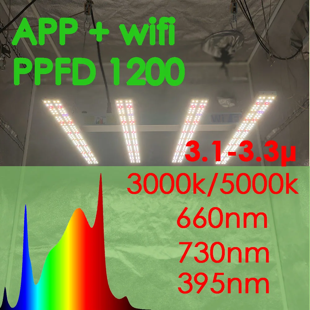 Solidee app, управление wi-fi