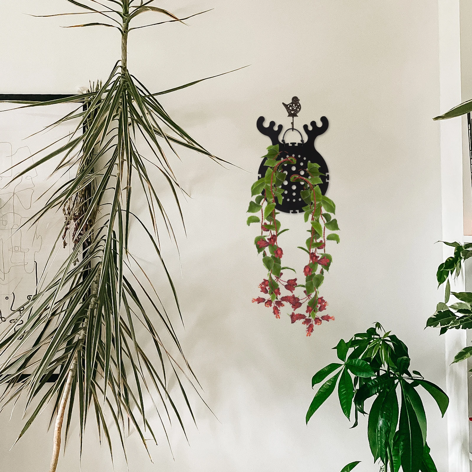 1pc creative staghorn planting