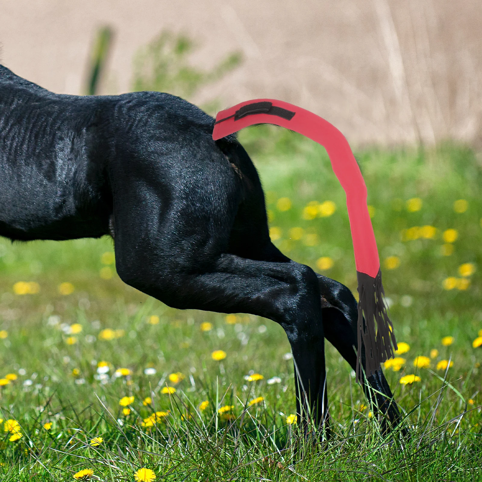 Многофункциональная защитная сумка - Фотография_4