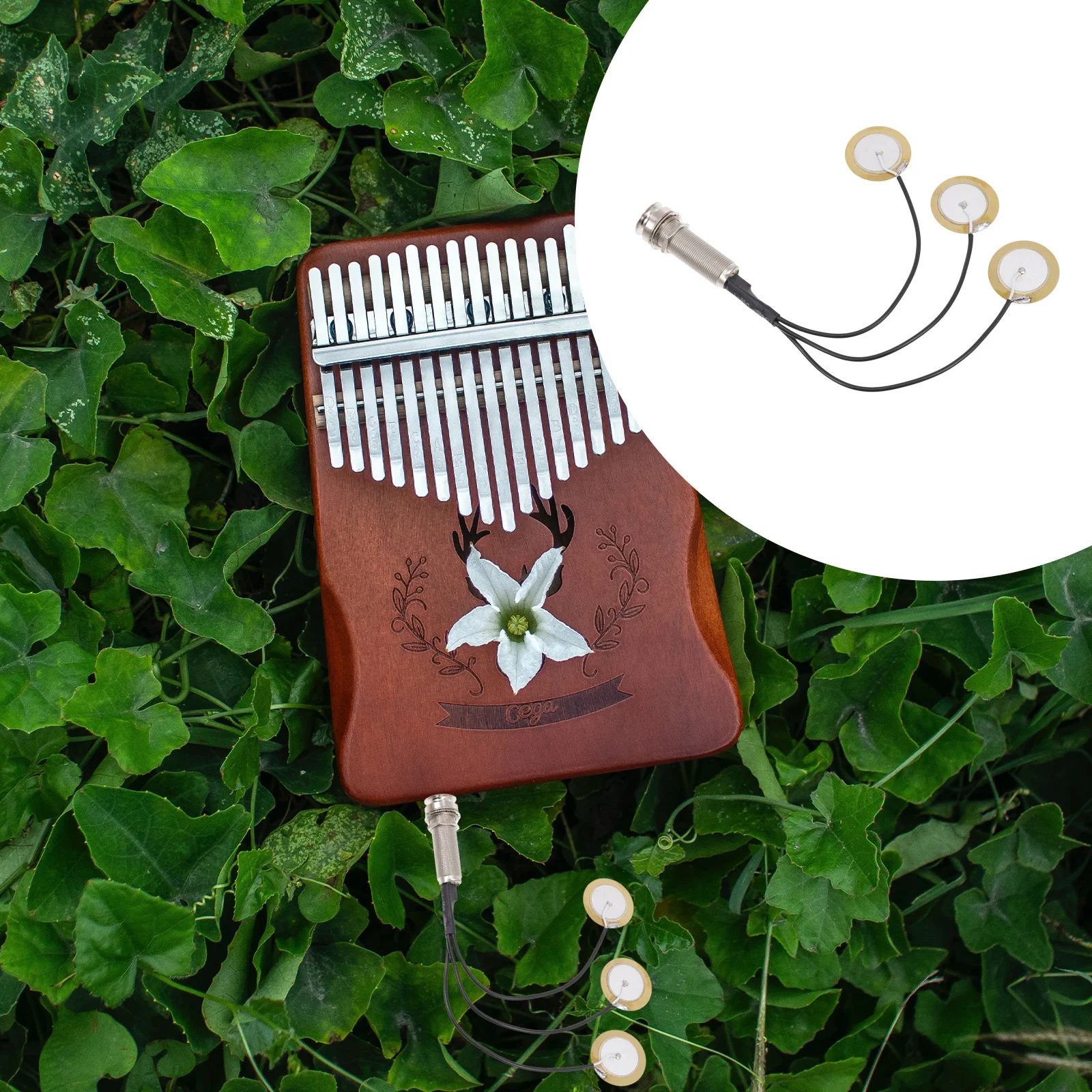 Профессиональный пикап калимба - Фотография_5