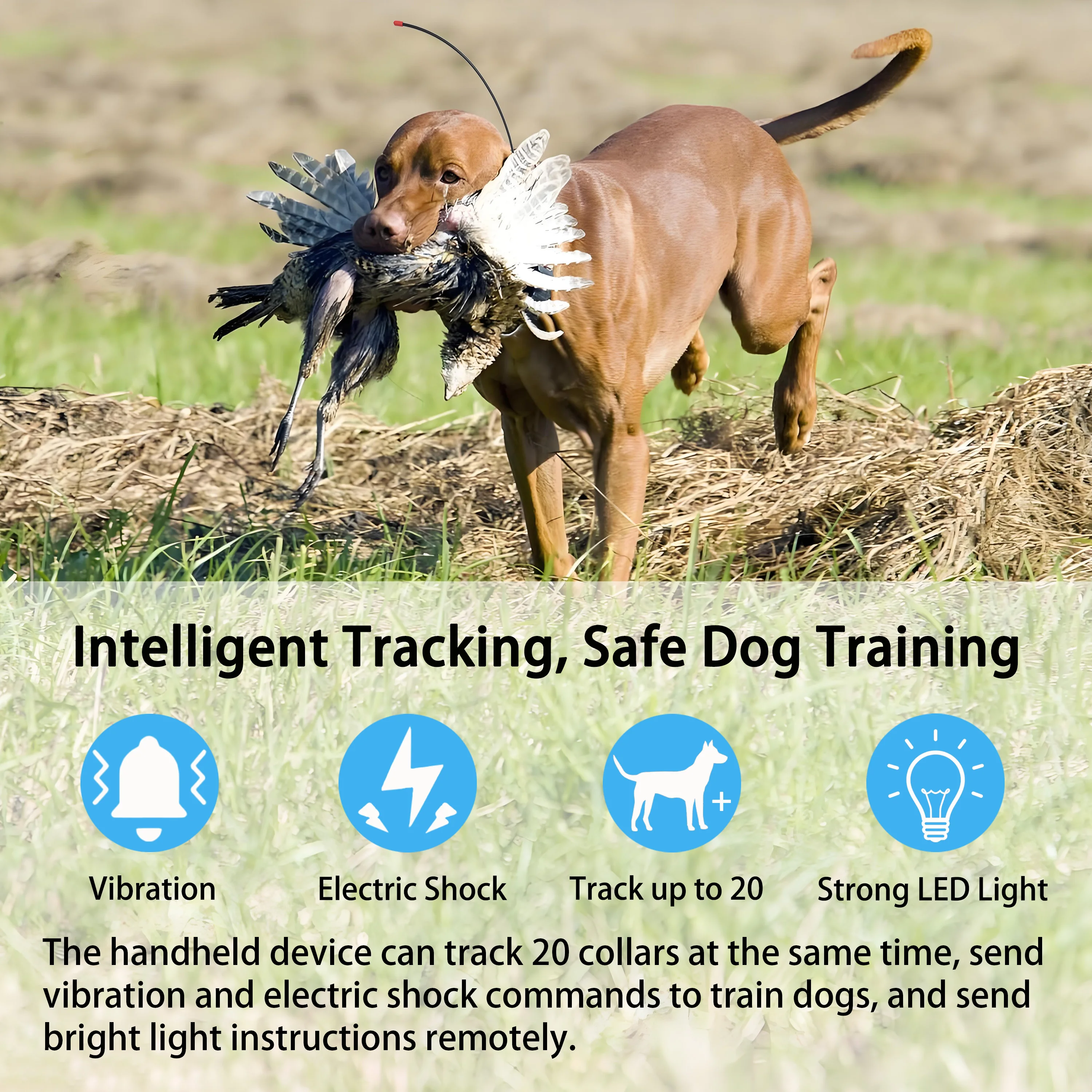 Eseek gps-ошейник для собак с водонепроницаемым - Фотография_4