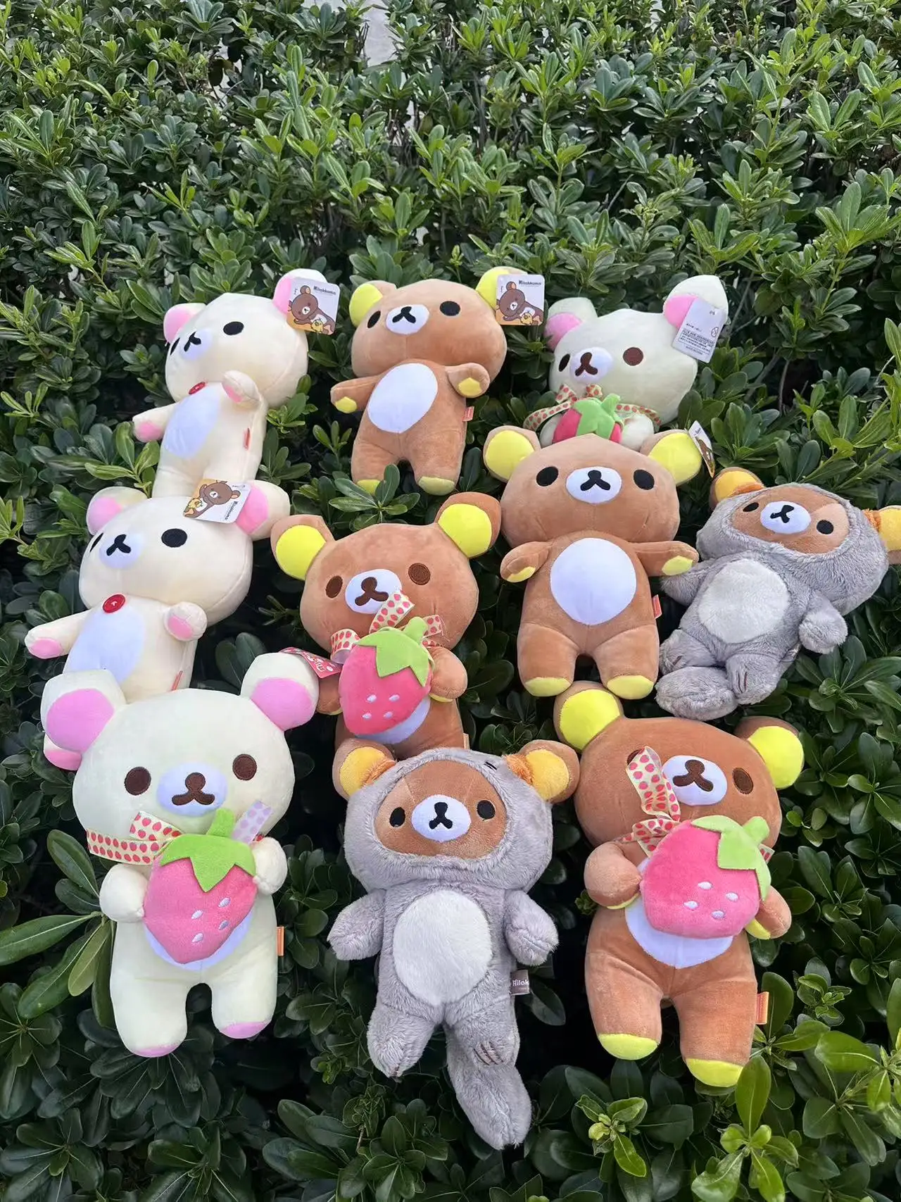 80 см rilakkuma плюшевая игрушка - Фотография_4