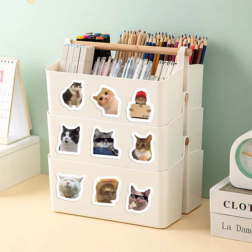 Забавный кот мем уплотнительные - Фотография_6