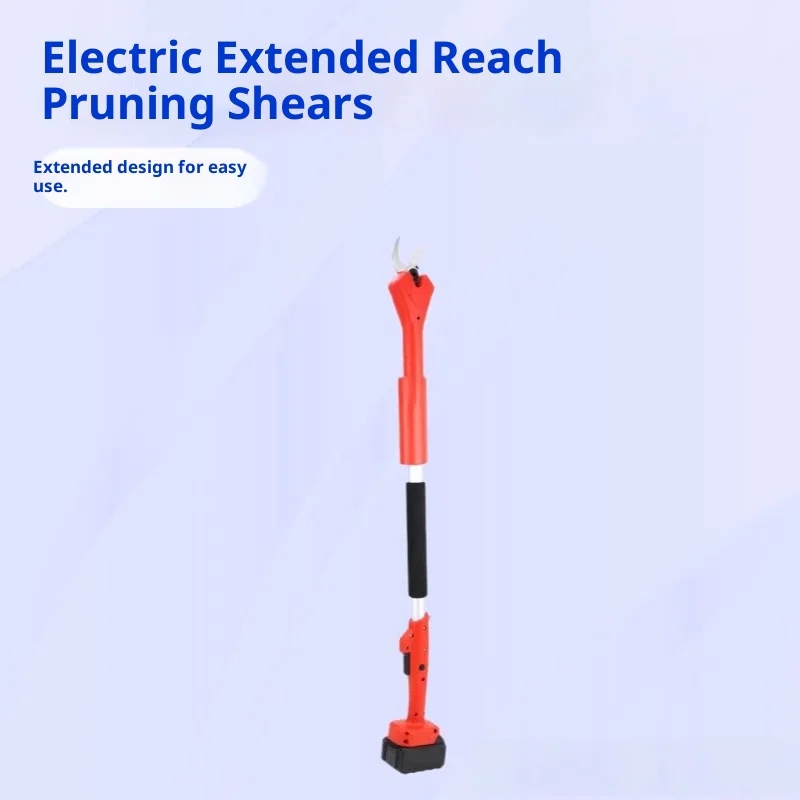 Садовые фруктовые деревья