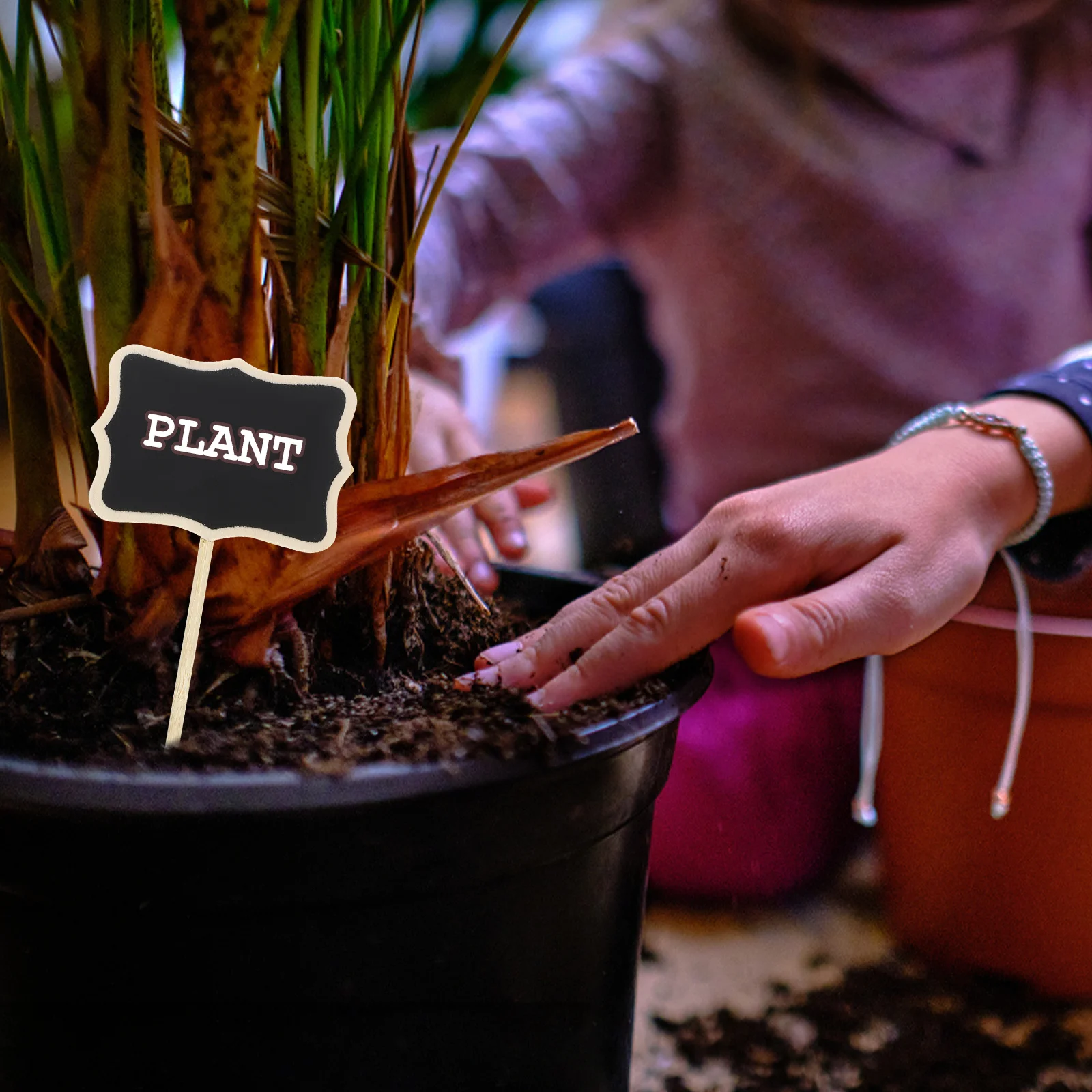 Мини-вывески для досок - Фотография_4