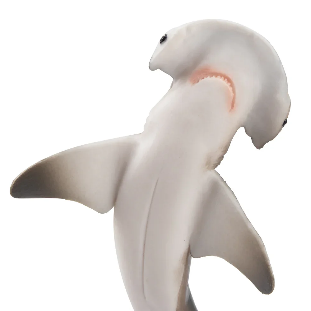 Toymany моделирование bonnethead - Фотография_6