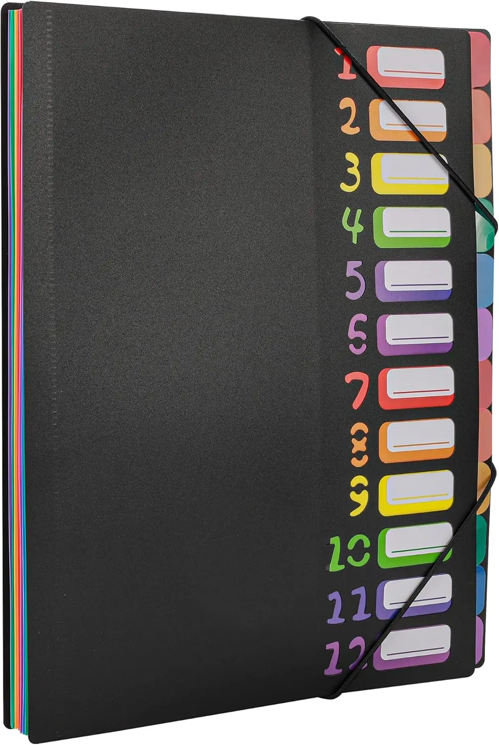 Расширяющаяся папка для файлов rainbow tab — 24 кармана