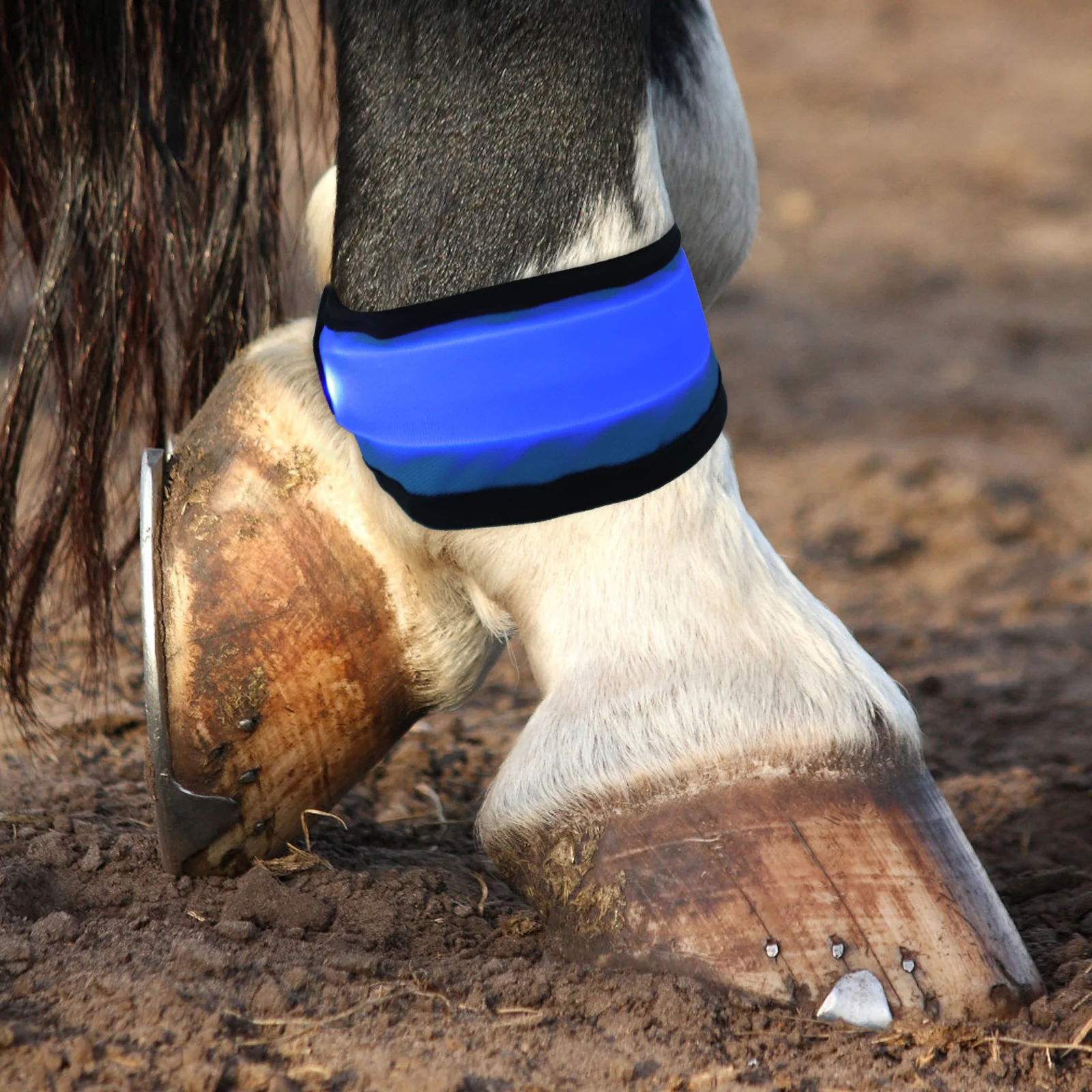 Светодиодные ремни для ног лошади - Фотография_4