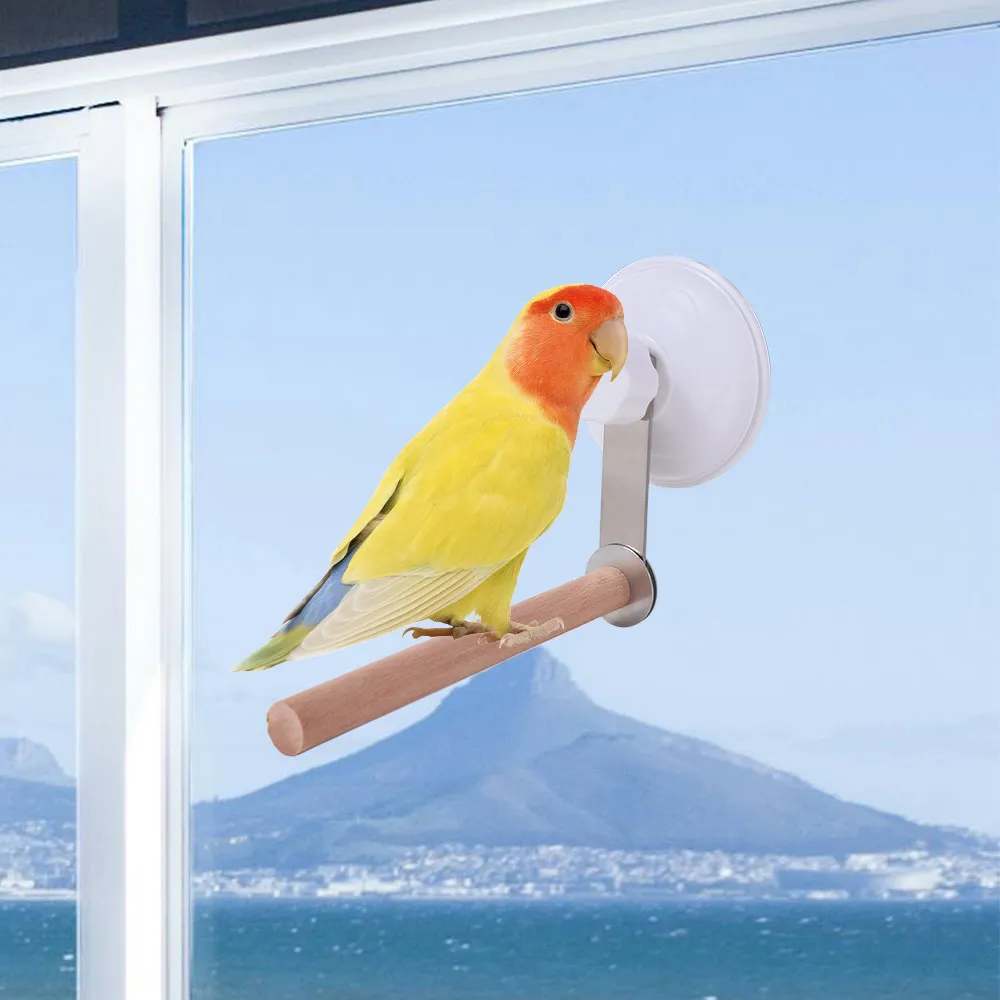 Безопасная шлифовальная машина для зубов на присоске - Фотография_2