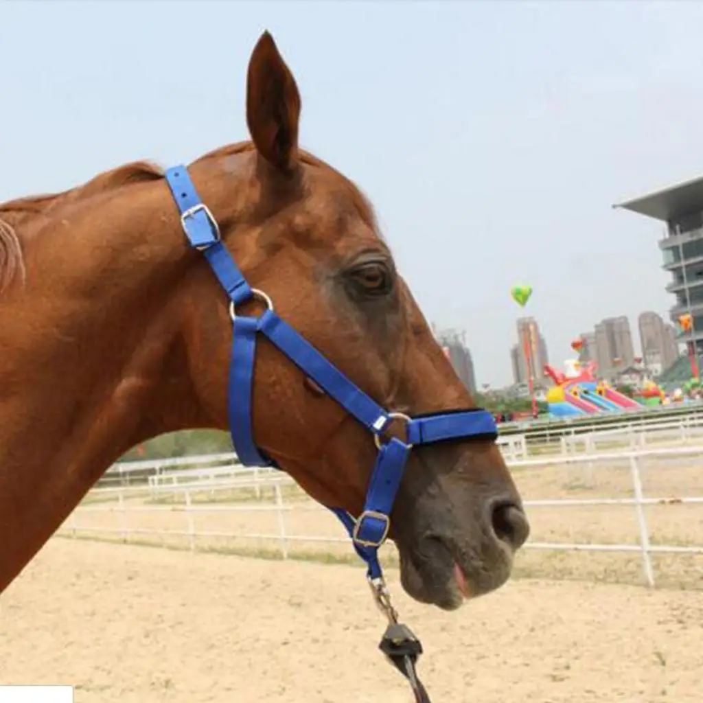 Регулируемая нейлоновая тесьма для конного спорта - Фотография_2