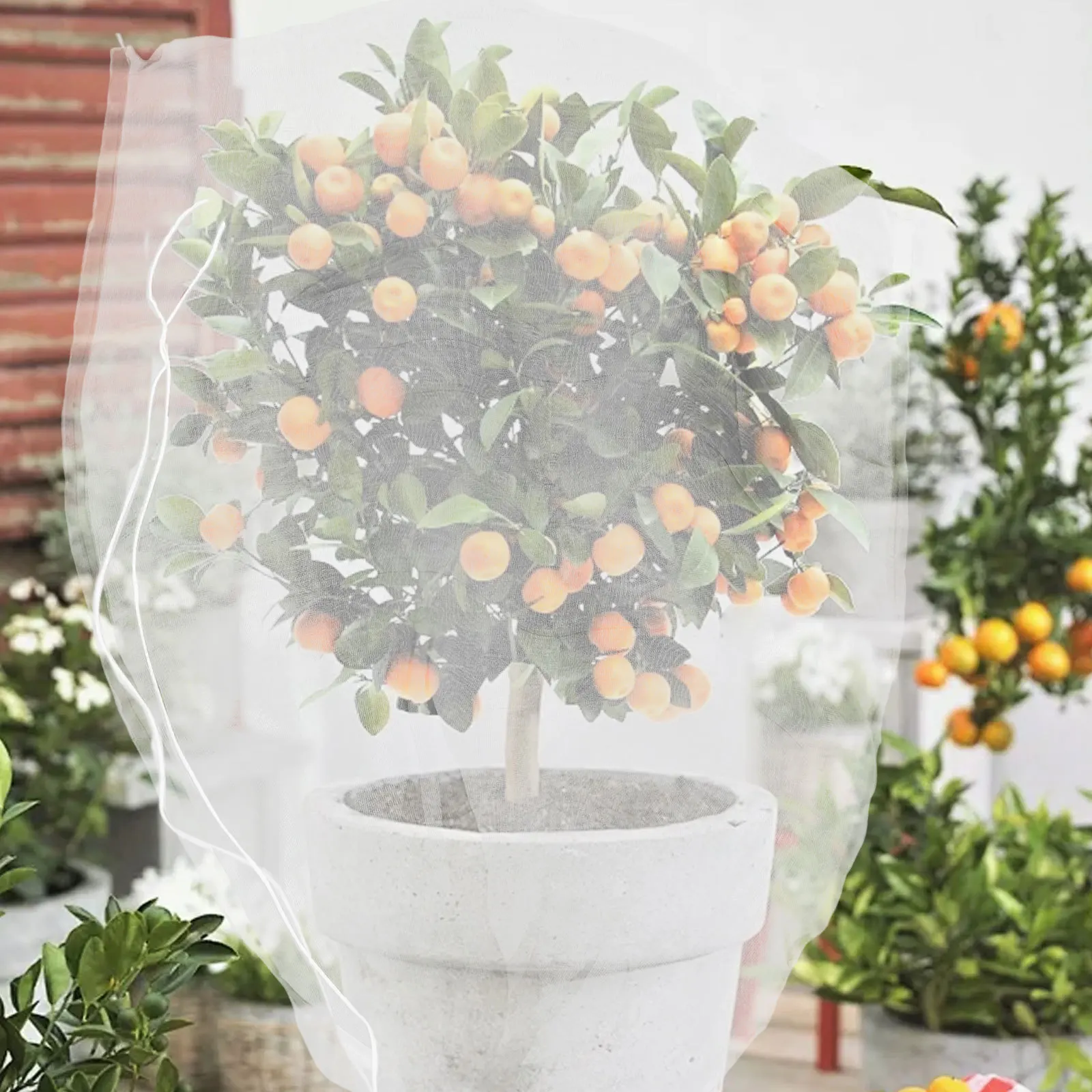 Сетчатые чехлы для растений - Фотография_6