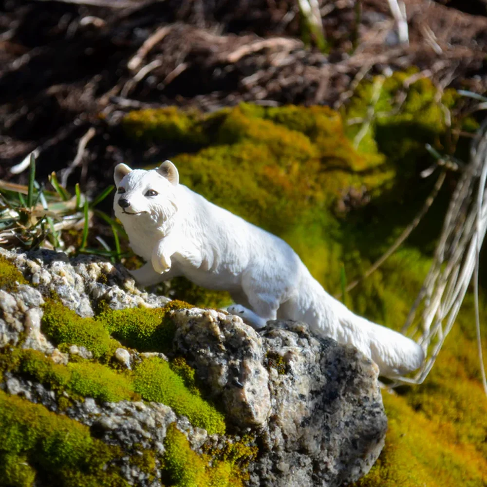 Toymany моделирование арктической - Фотография_6