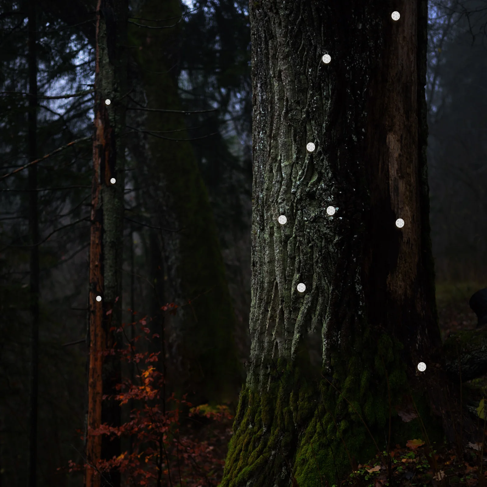 Светоотражающие кнопки для большого пальца - Фотография_2