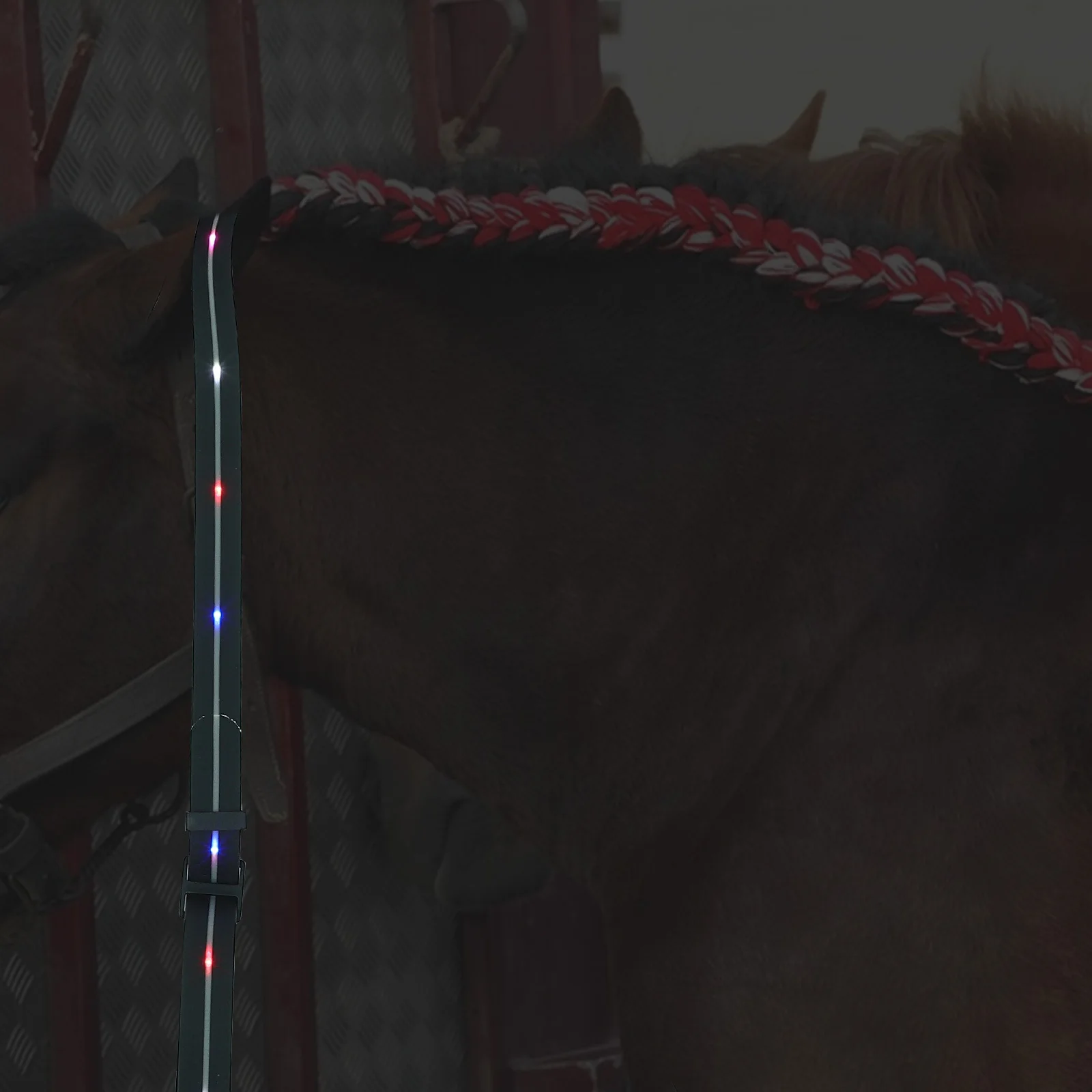 Светящаяся нагрудник для лошади со светодиодной подсветкой - Фотография_5