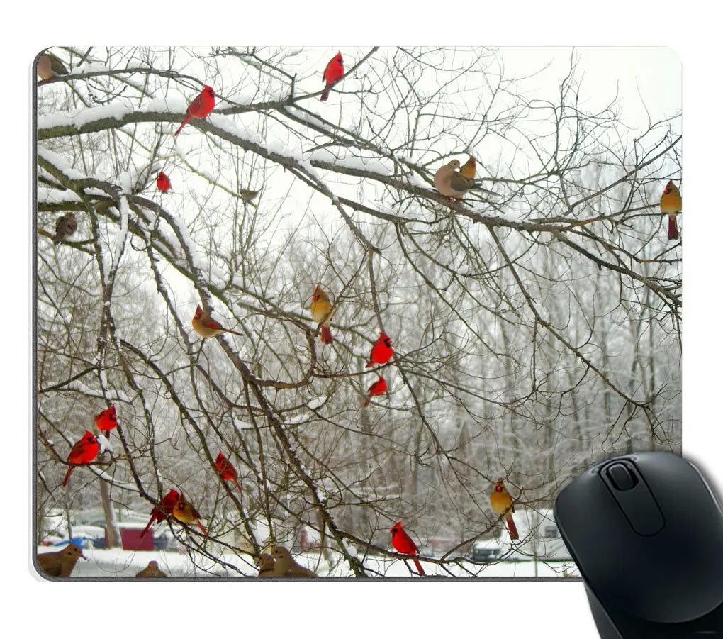 Высокое качество природный пейзаж - Фотография_3