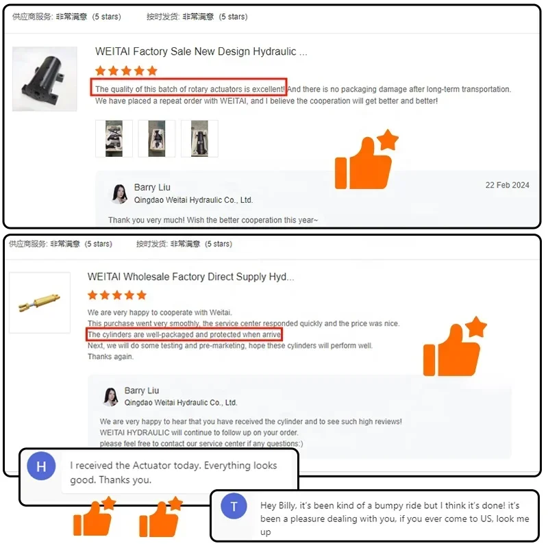 Weitai самый продаваемый гидравлический осевой поршень с изогнутой осью - Фотография_2