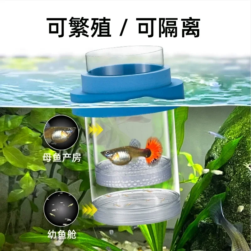 Коробка для разведения мамы killifish - Фотография_2