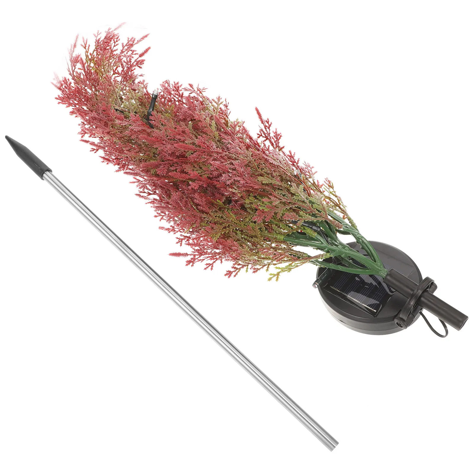 Рождественский солнечный свет - Фотография_3