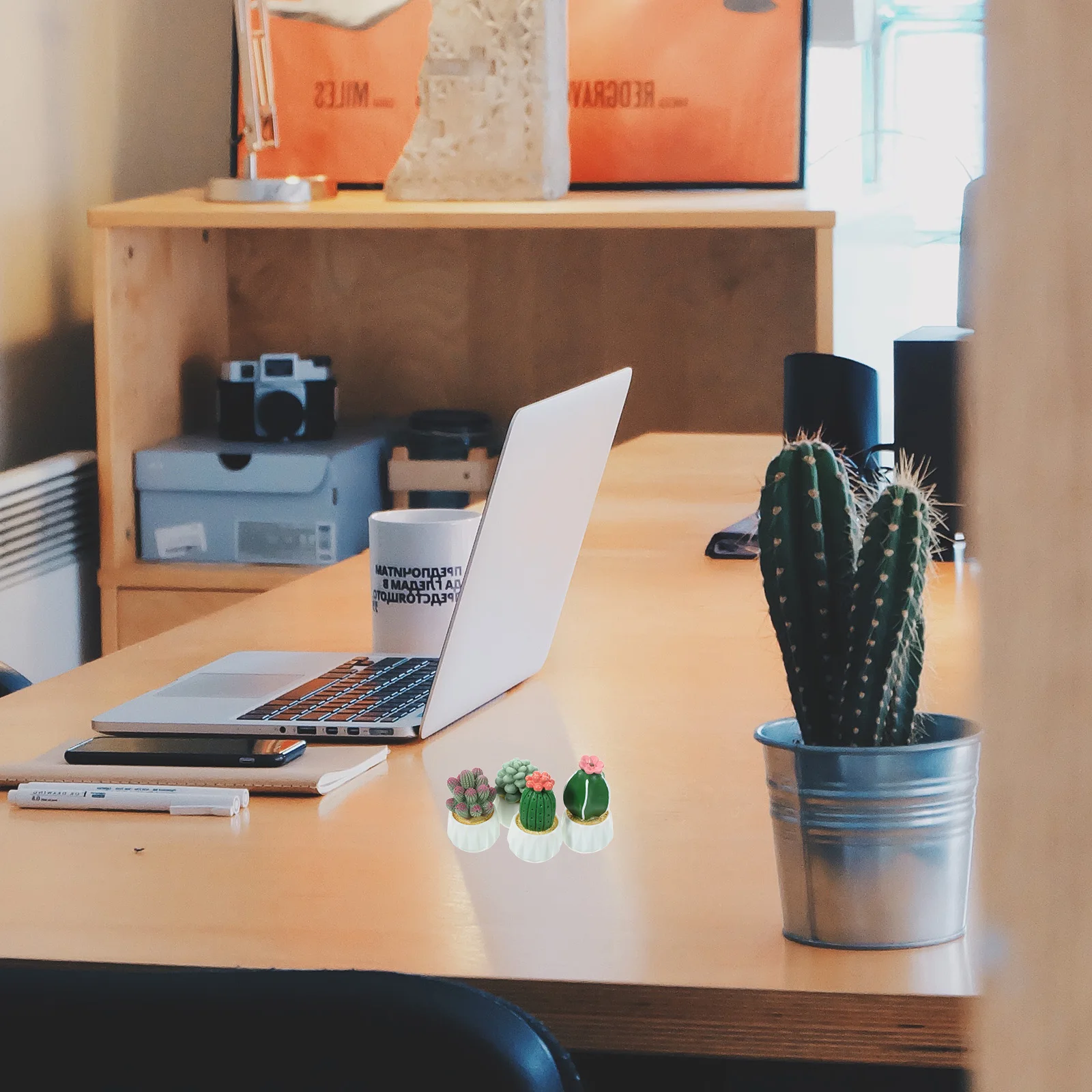 Кактус орнамент кактусы горшечное - Фотография_3