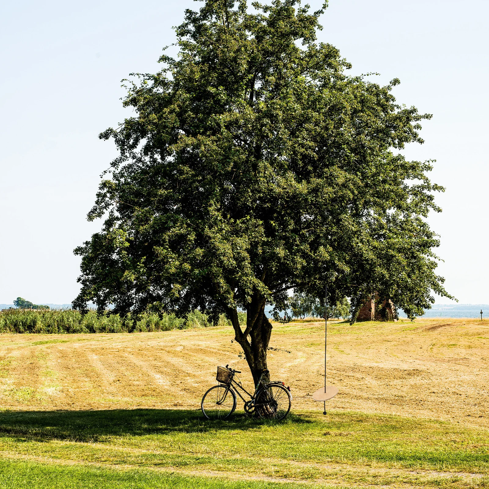 Детские деревянные дисковые качели - Фотография_5