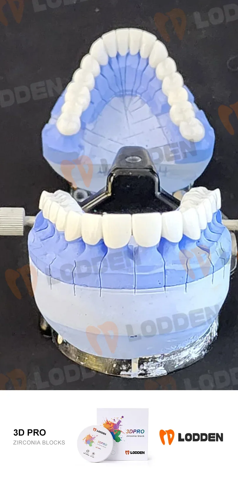 Многослойные блоки из циркония lodden 3d pro - Фотография_4