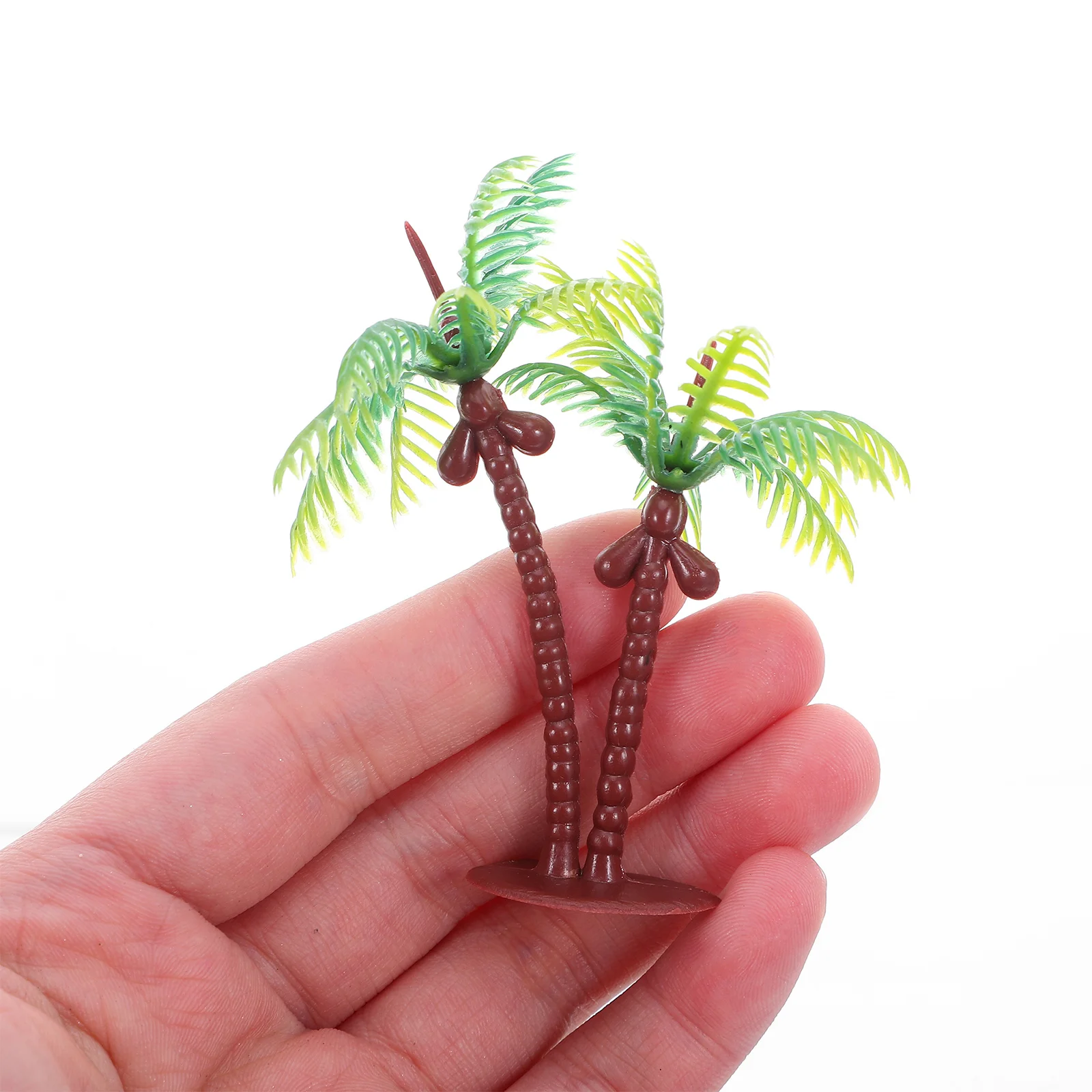 Миниатюрные кокосовые пальмы