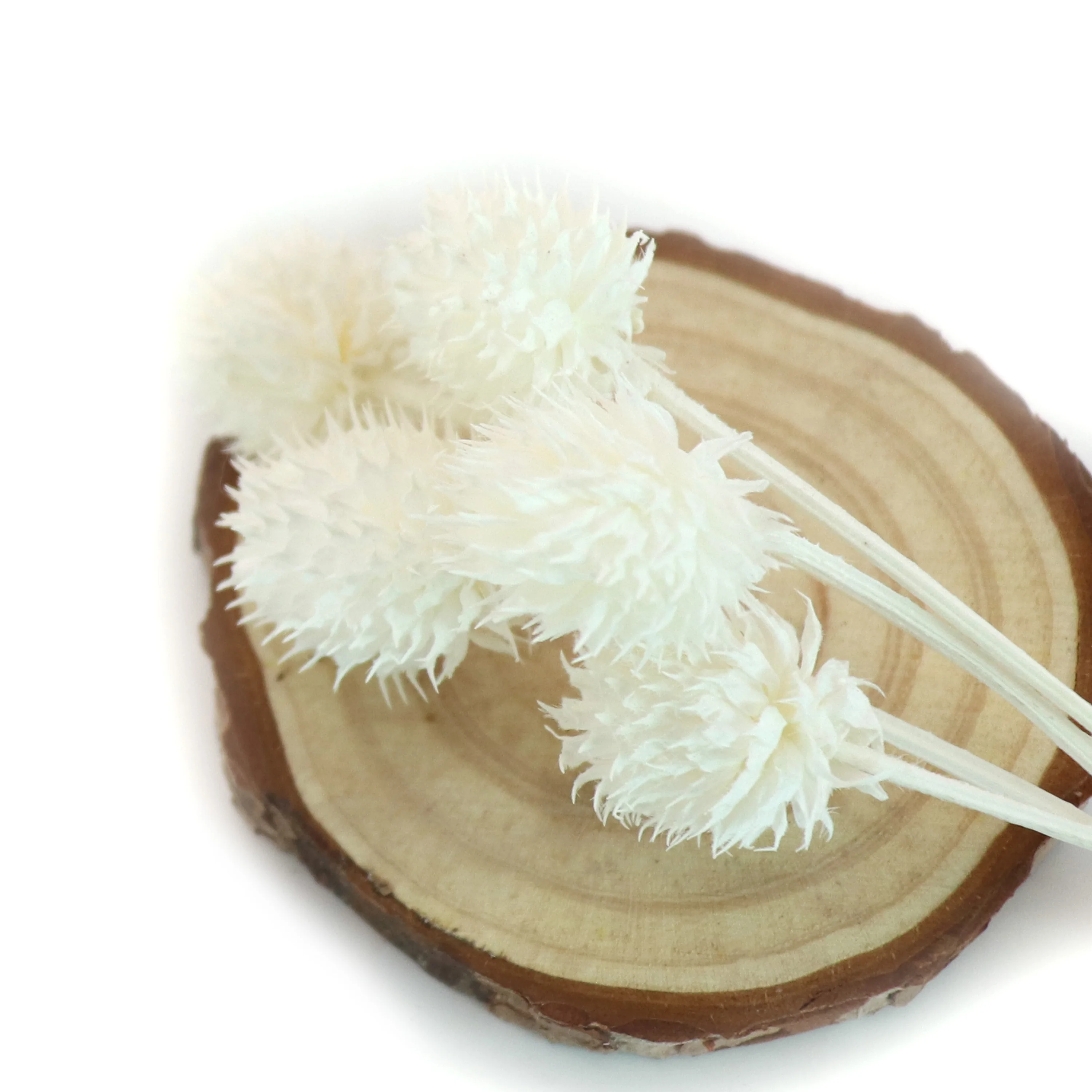 Сушеные отбеливающие консервированные цветы gomphrena - Фотография_4