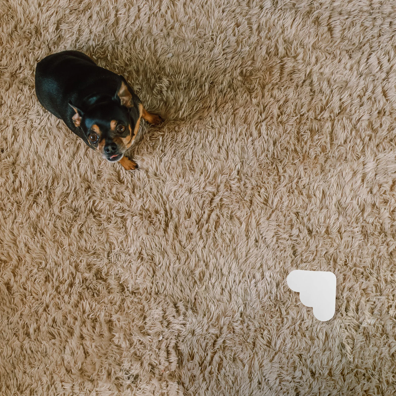 Наклейки на коврик - Фотография_2