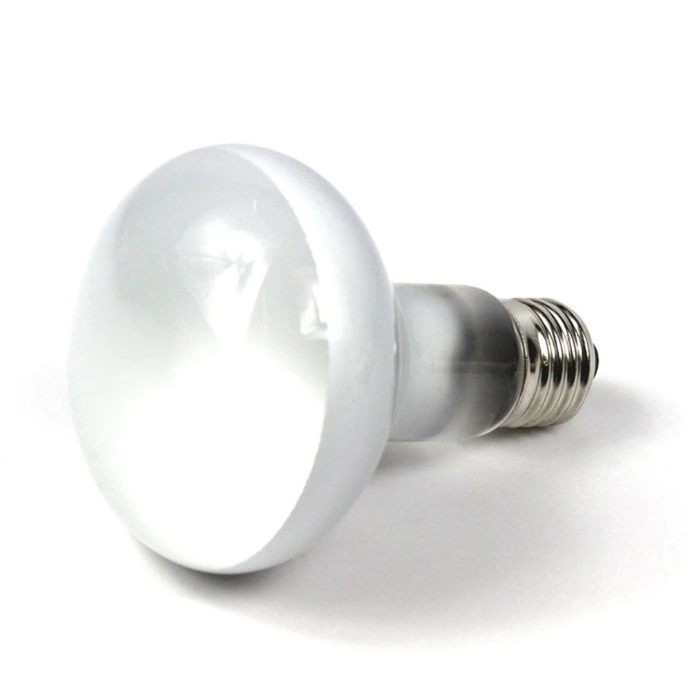 Амфибии тепловая лампа нагреватель - Фотография_3