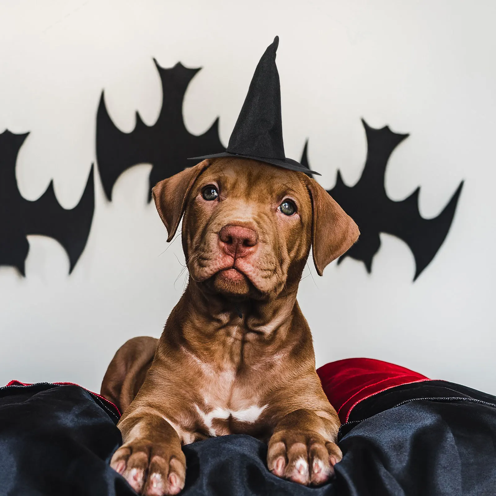 Шляпа ведьмы на хэллоуин - Фотография_4