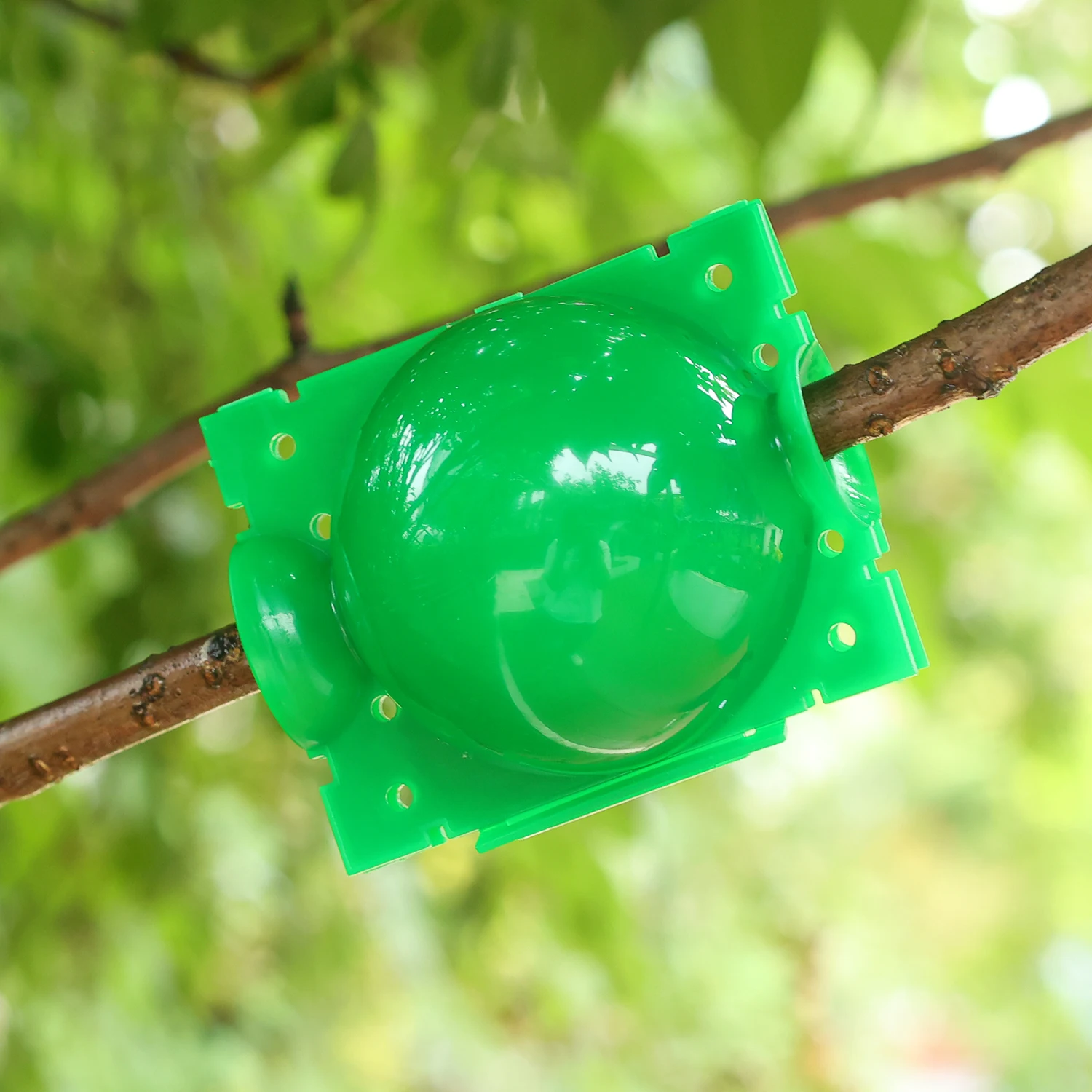 Шарик для укоренения растений - Фотография_4