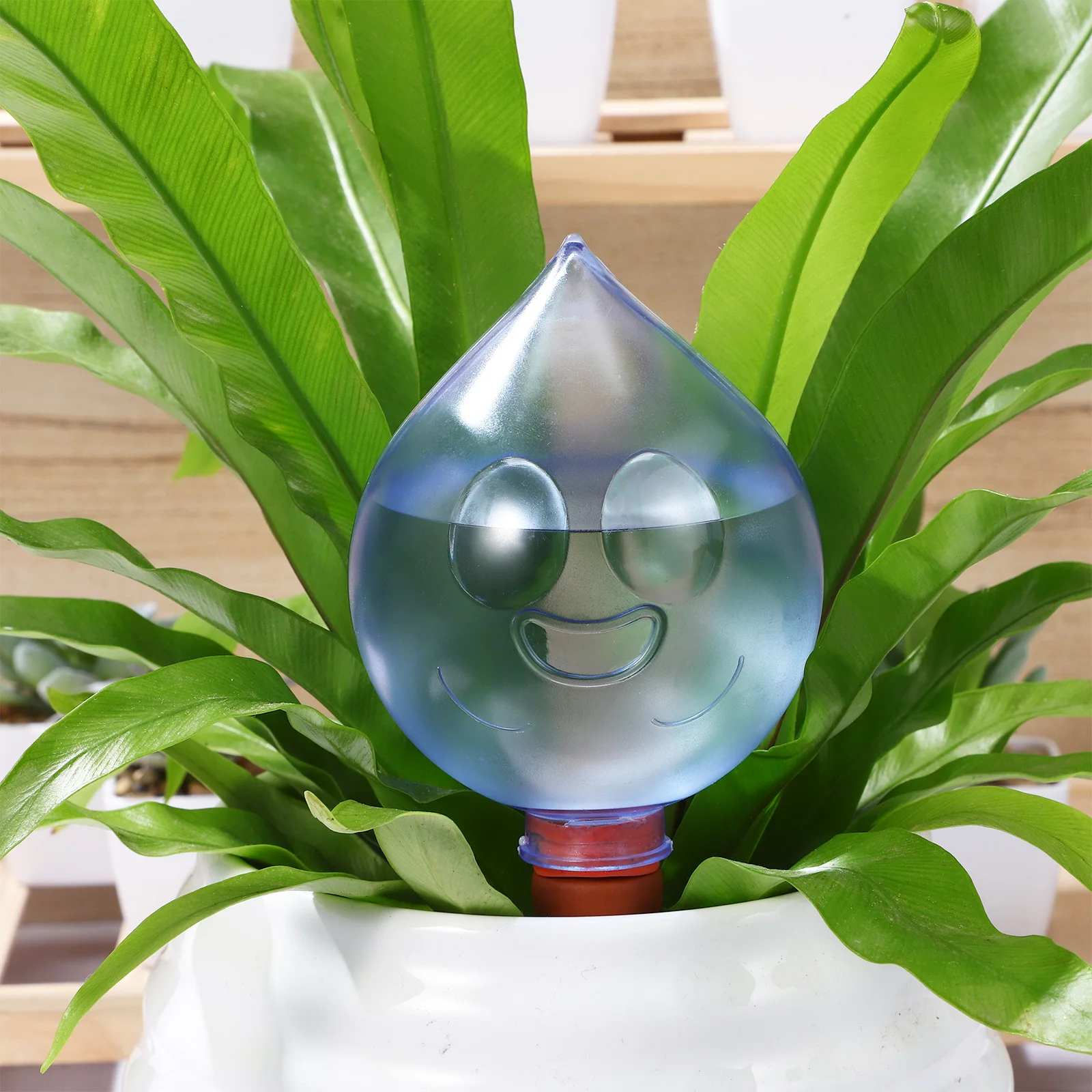 Автоматические шарики для полива растений - Фотография_5