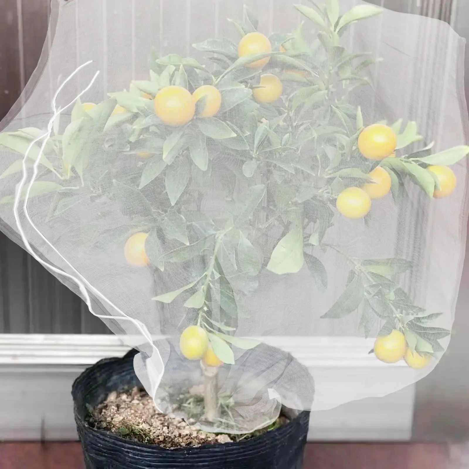 Сетчатые чехлы для растений