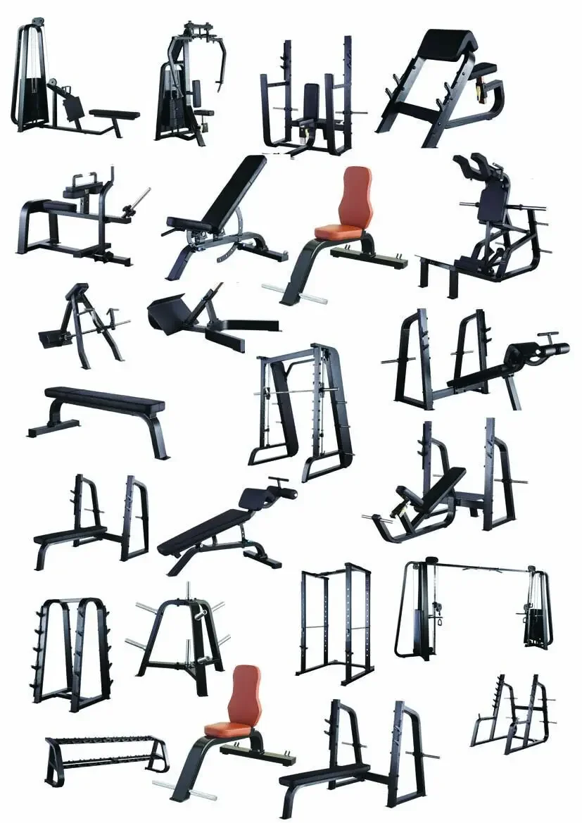 Силовые тренировки - Фотография_4