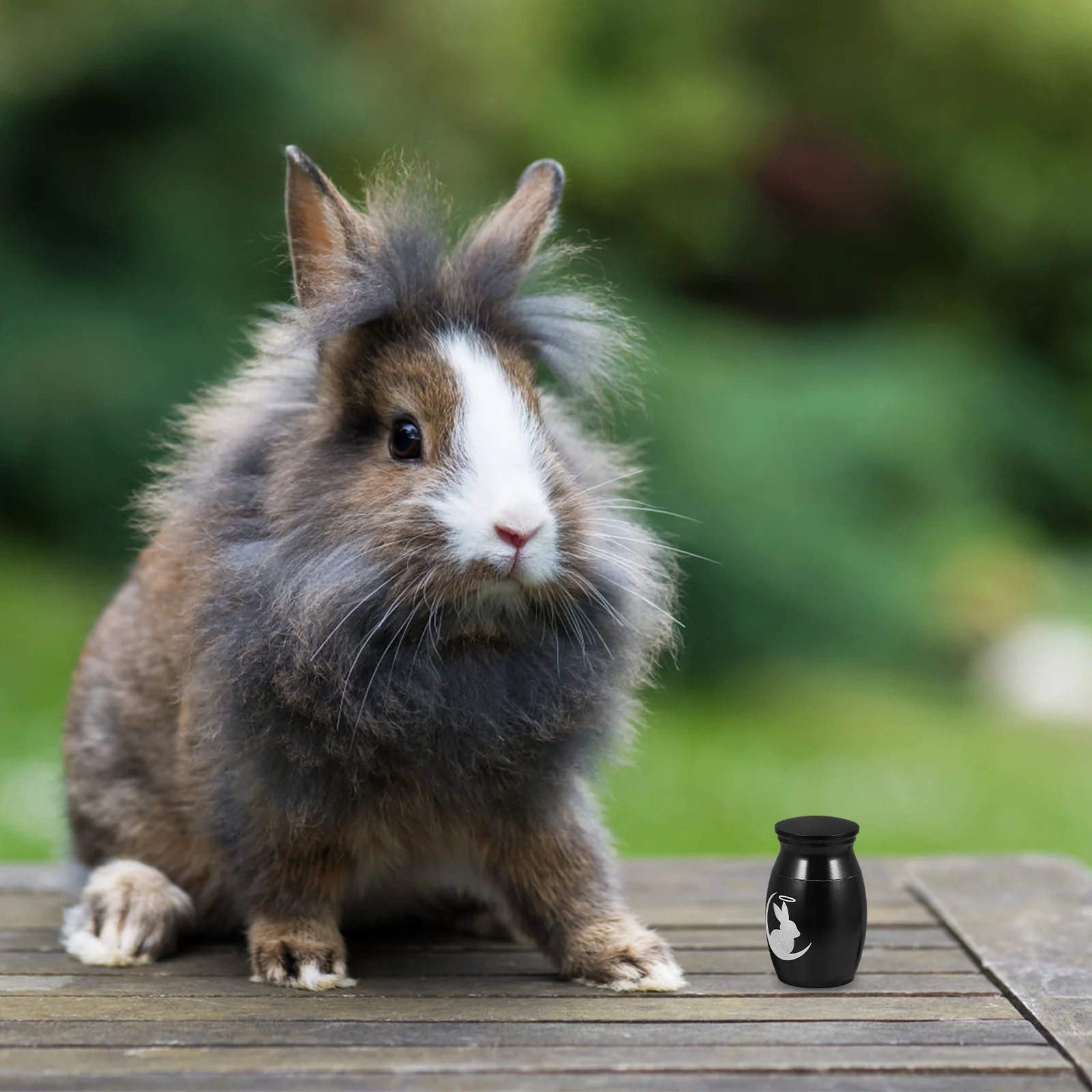 Урна для кролика - Фотография_5