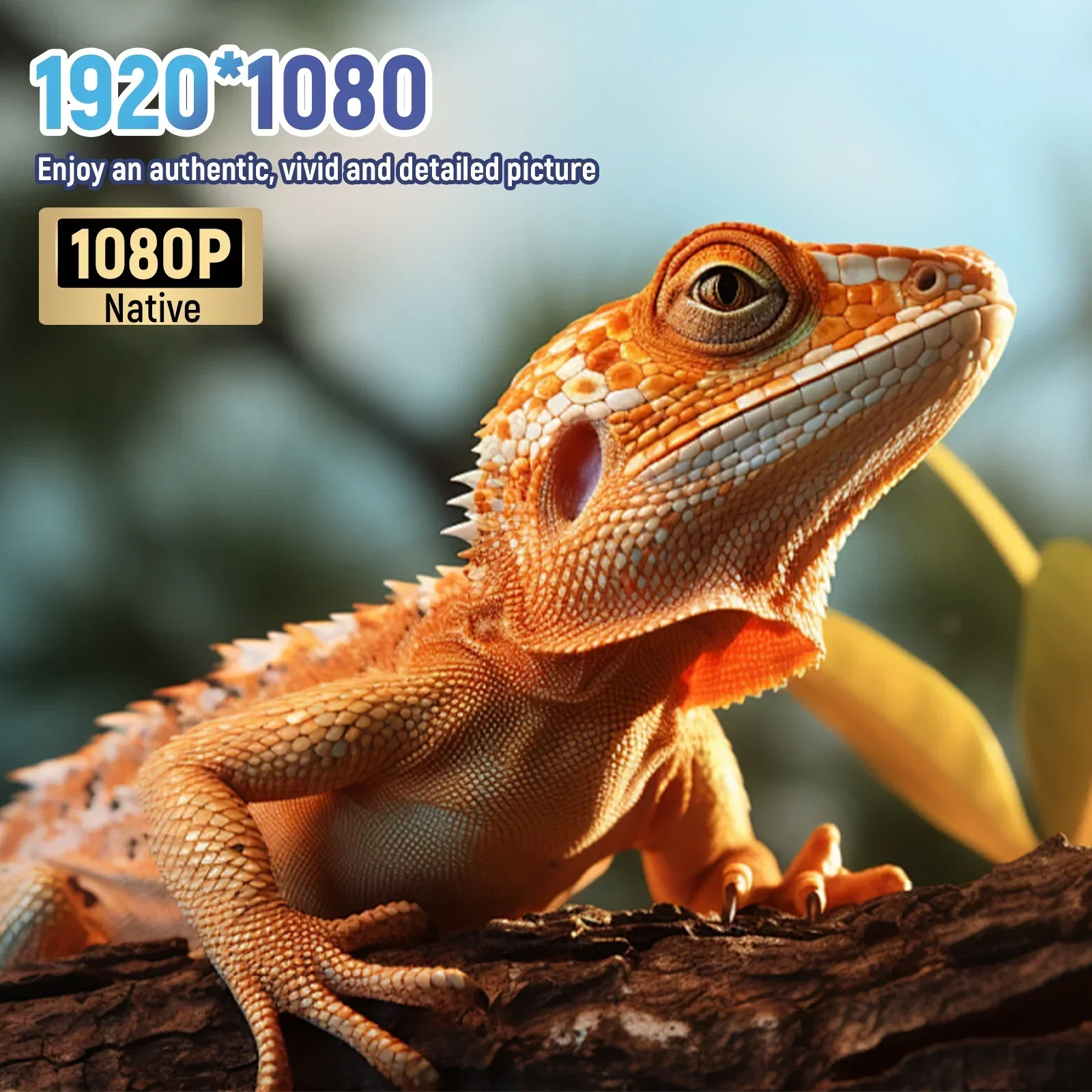 Horlat android 4k проектор 35000 - Фотография_2