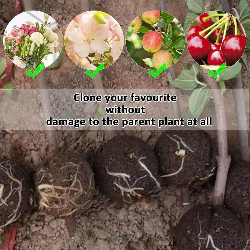 Стручки для наслоения воздуха - Фотография_4