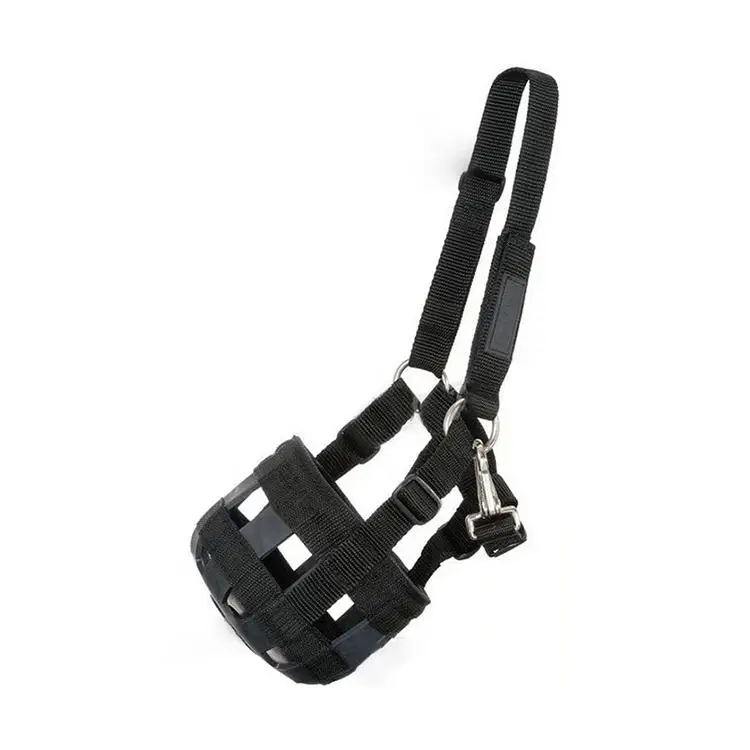 Оборудование для конного спорта