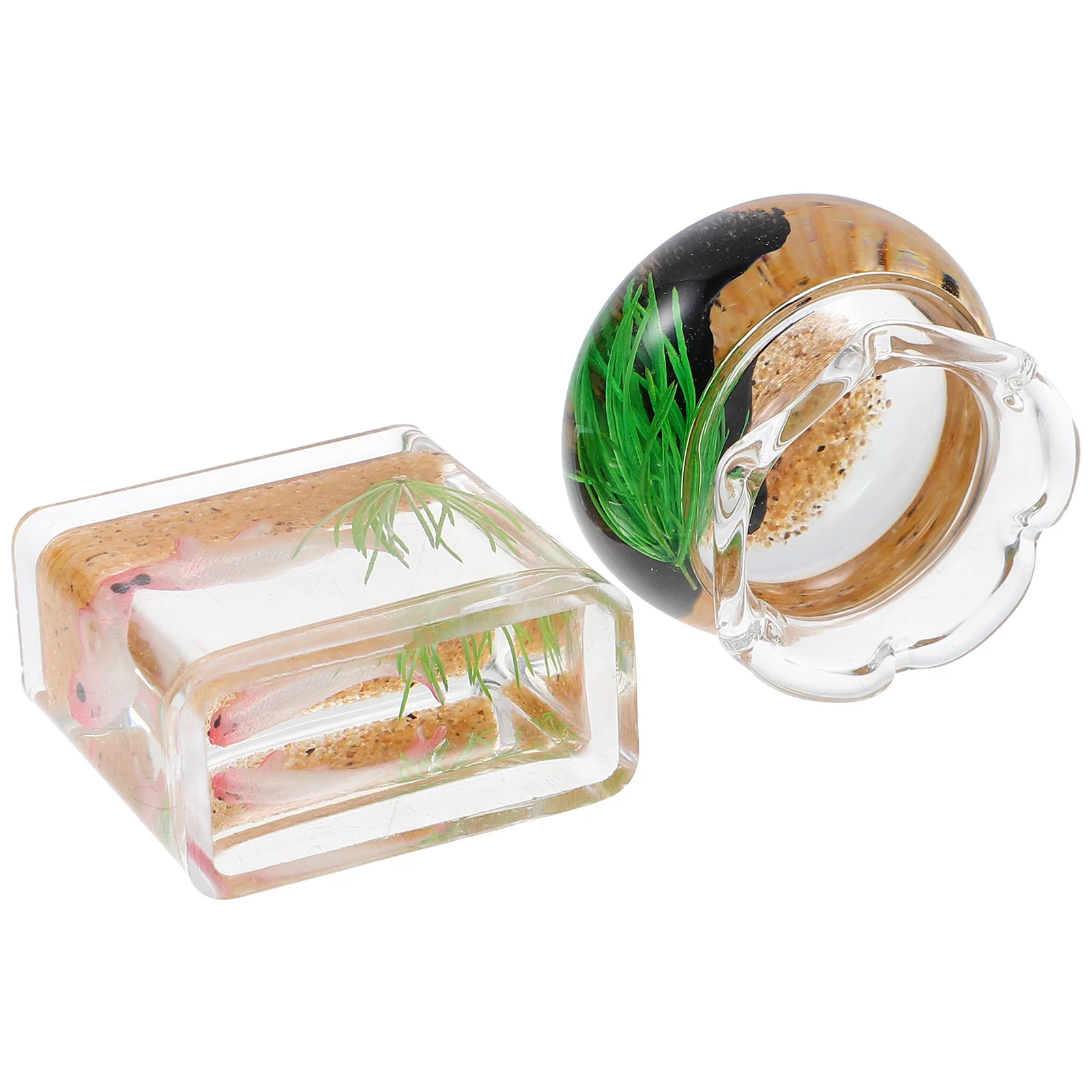 Миниатюрный стеклянный аквариум - Фотография_3