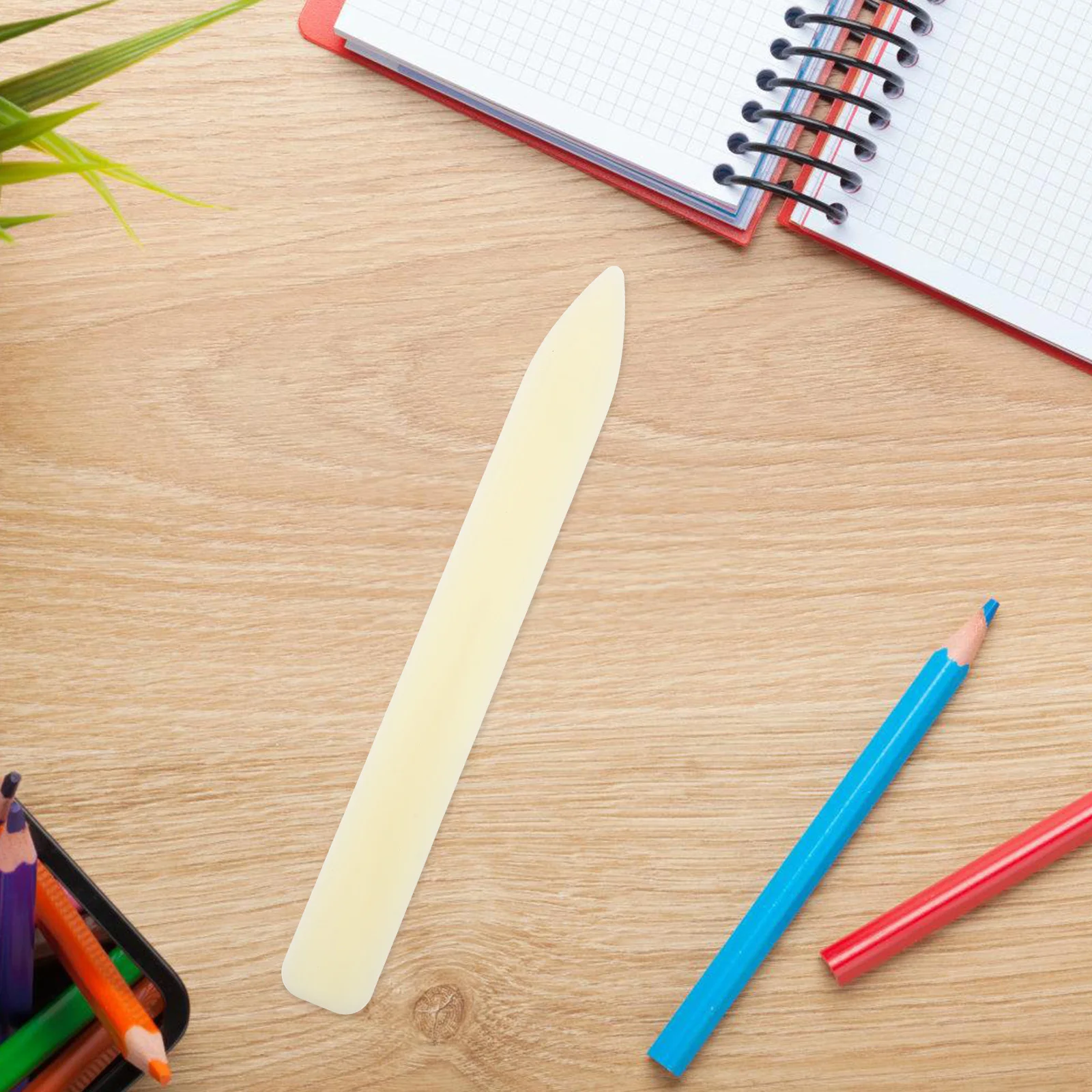 Пластиковая папка для костей - Фотография_2