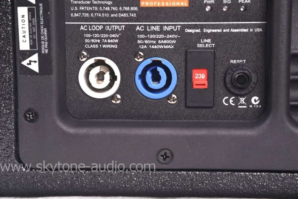 12-дюймовый линейный массив модуля - Фотография_3