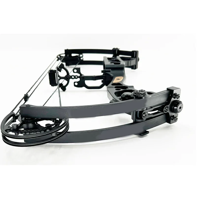 Компаундный лук двойного назначения - Фотография_6