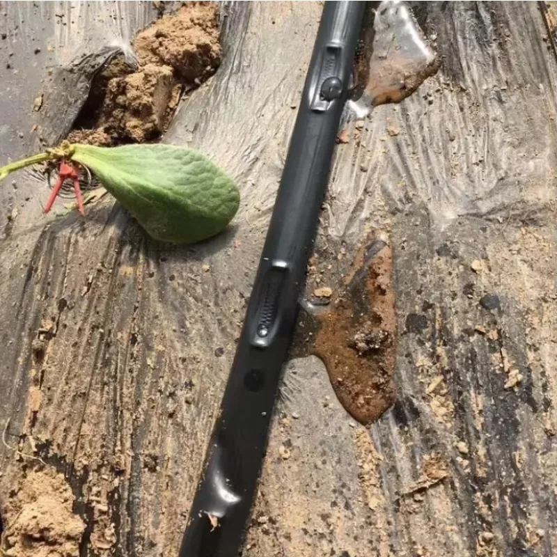 Заводская цена: 1 дизайн сельскохозяйственной - Фотография_2